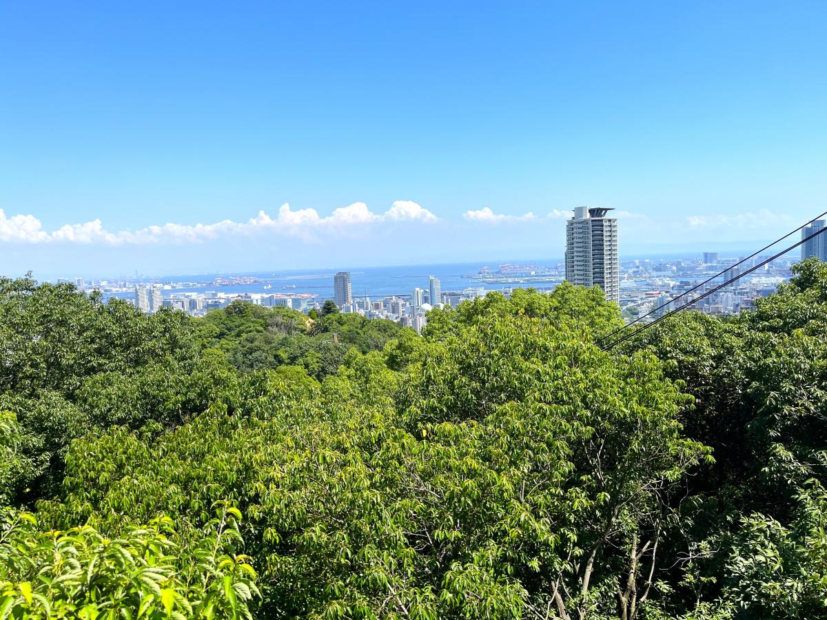 みはらし展望台からの眺望