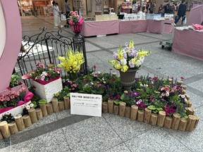 過去写真