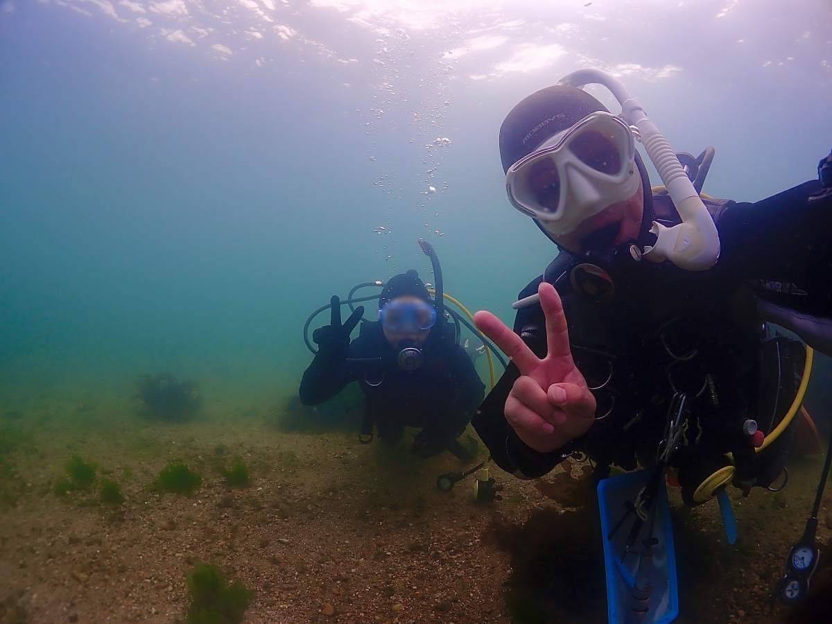 diving1