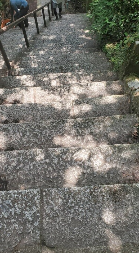 6月石段清掃後の様子