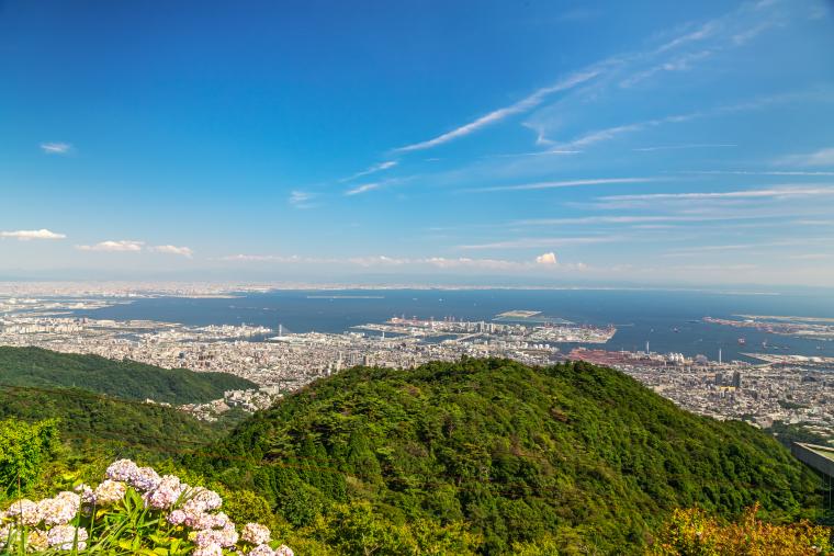 rokko